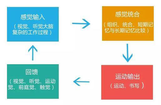 感覺統合